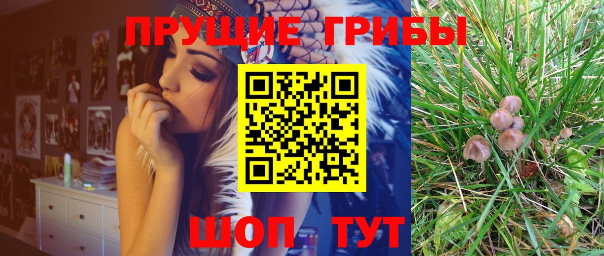 Коломна  Псилоцибиновые грибы GOLDEN TEACHER  Вход с VPN 